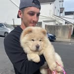 Joshua Bath - @joshua_phillip_bath - Instagram