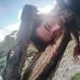 Joshua Batten - Facebook