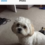 Joshua Batty - @josh_batty5 - Instagram