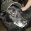 Joshua Batty - @joshua.batty - TikTok