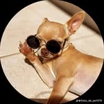 Joshua Bauer - @jbauerleon - Instagram