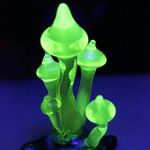 Joshua Beach - @seamlessglassart - Instagram