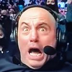 Joshua Beagle - @j_beagle1 - Instagram