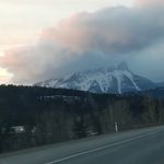 Joshua L. Beagle - @joshua.l.beagle - Instagram