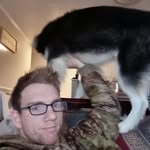 joshua bean - @beandip1337 - Instagram