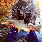 Joshua Beane - @joshuabeane - Instagram