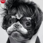 Joshua Becker - @joshuabecker - Instagram