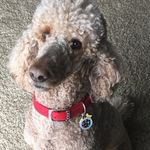 Josh Behm - @jbehm4 - Instagram