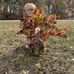 Josh Barringer - Facebook