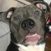 Joshua Berwanger - Facebook