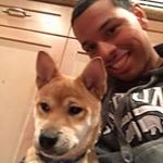 Joshua Bellinger - @jbellinger52 - Instagram