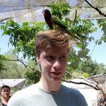 Joshua Benham - @joshua.a.benham - Instagram
