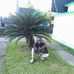 Joshua Benjamin - Facebook
