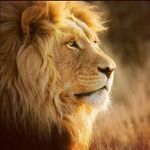 JOSHUA BENJAMIN - @_joshua_benjamin - Instagram