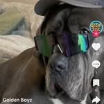 Joshua bleakley - @bleakley_joshua - Instagram