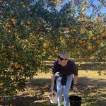 Joshua Boehm - @joshua_boehm - Instagram