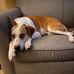 Joshua Boldt - Facebook