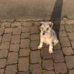 Josh Broadbent - Facebook