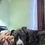 Josh Barricella - @joshuabarricella - Instagram