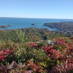 Joshua Charest - @boogiecharest - Instagram