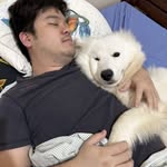 Joshua Chua - @chuajoshua86 - Instagram