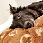 Josh Claypool - @thegodpupper - Instagram