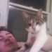 Joshua Clutter - Facebook