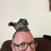 Joshua Clutter - @joshua.clutter - TikTok