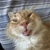 joshuaconroy748 - @joshuaconroy748 - TikTok
