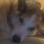 @joshua.conroy - @joshua.conroy10 - Instagram