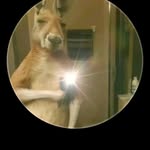 @joshu_acordero - Instagram