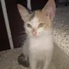 Joshua Cordero - @joshua.cordero72 - TikTok