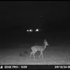 joshuacroft5 - @hc.hunters - TikTok