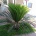 Dabby Josh - Facebook