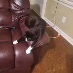 Joshua Deshields - Facebook