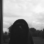 joshua devoe - @joshuadevoee - Instagram