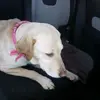 Joshua Dunfee - @joshua.dunfee - TikTok