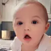 Josh eagles - @joshuaeagles8 - TikTok