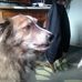 Josh Every - Facebook