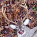 Josh Farber - Facebook