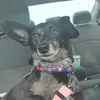 Joshua Files - @joshua.files - TikTok