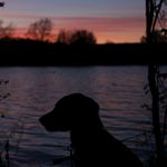 Josh Flack - @flackyy_1 - Instagram