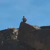 joshuaflackual - @joshuaflackual - TikTok