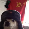 Joshua Forest - @user625807561 - TikTok