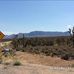 Joshua Tree National Forest - Facebook