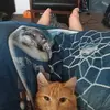 Joshua.Gabbert - @joshua.gabbert - TikTok