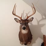 Joshua Given - @josh_given_from_wv - Instagram