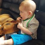 Josh Gorham - @josh.gorham - Instagram