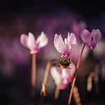 JoshuaGorham - @joshuagorham - Instagram