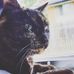 Joshua Goucher - Facebook